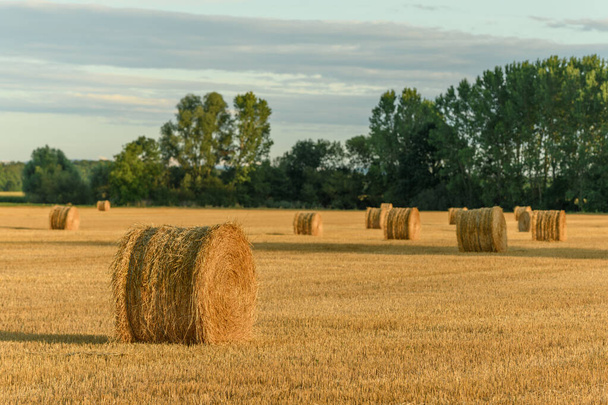Straw bales in a field in the French countryside - Photo, Image