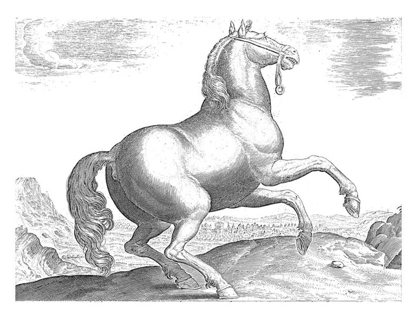 Cavallo dalla Francia, anonimo, dopo Hieronymus Wierix, dopo Jan van der Straet, 1624 - prima del 1648 Un cavallo francese in un paesaggio, incisione vintage. - Foto, immagini