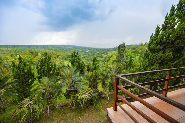 balcon et nature verdoyant arbre forêt / balcon vue  - Photo, image