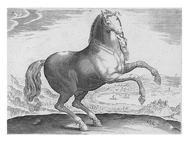 Cheval du sud de l'Italie, anonyme, d'après Hieronymus Wierix, d'après Jan van der Straet, 1624 - avant 1648 Un cheval du sud de l'Italie dans un paysage, gravure vintage. - Photo, image
