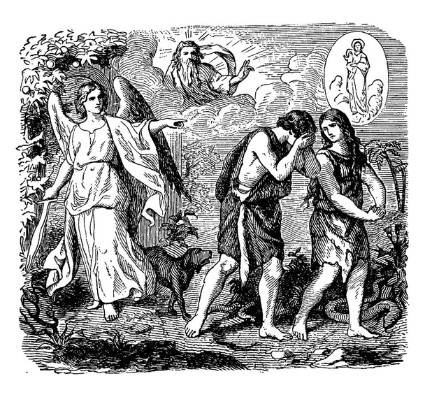 L'immagine che raffigura l'espulsione di Adamo e sua moglie Eva, dal giardino dell'Eden, da Geova Dio, disegno a linee vintage o illustrazione incisione  - Vettoriali, immagini