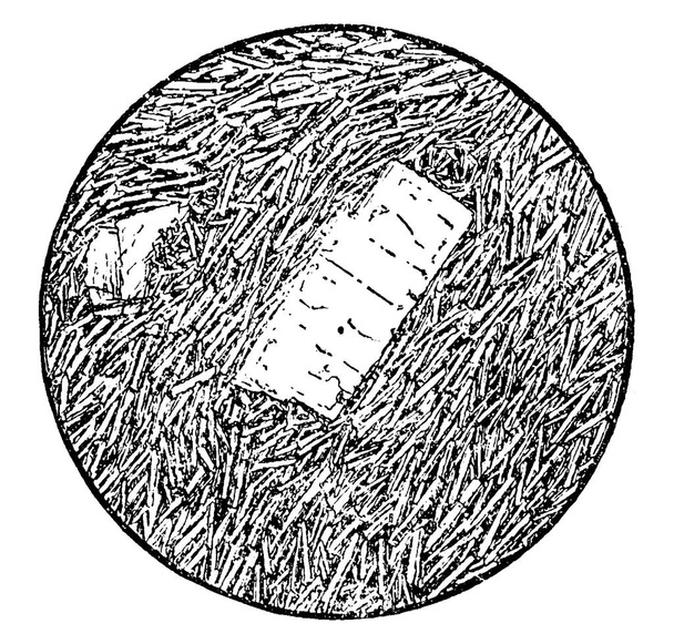 Una roca ígnea y volcánica con una textura afanitica a porfiritica, dibujo de líneas vintage o ilustración de grabado. - Vector, Imagen