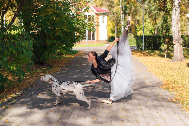 Ballerina with Dalmatian dog in the golden autumn park. Woman ballerina in a white ballet skirt and black leather jacket posing in pointe shoes in autumn park with her spotty dalmatian dog. - Valokuva, kuva