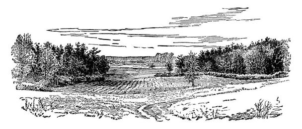 Angle sanglant de la Spotsylvanie, l'angle entre l'Union II et VI Corps, dessin à la ligne vintage ou illustration de gravure. - Vecteur, image
