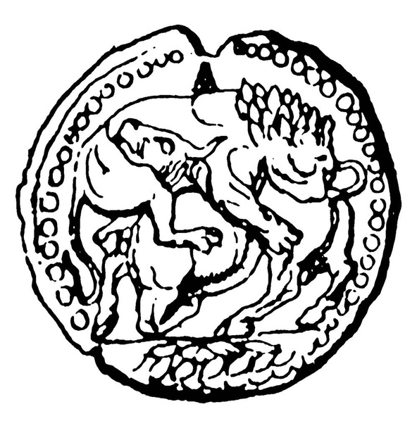 Socha lva útočícího na býka na tuto starodávnou řeckou stříbrnou minci Acanthus, starodávná čára kresby nebo rytiny ilustrace. - Vektor, obrázek
