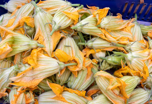Fiori di zucchine fresche in un mercato contadino in Italia - Foto, immagini
