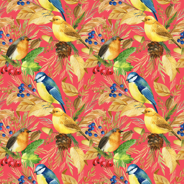 Saumaton kuvio. Bullfinches, tithiiret, kanarialinnut, Robin Birds. Lehdet ja yrtit akvarelli, eristetty punainen tausta - Valokuva, kuva