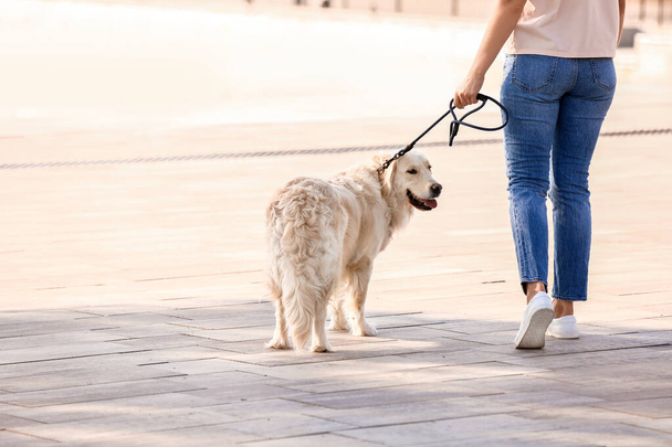 Jovem mulher com cão bonito andando ao ar livre
 - Foto, Imagem