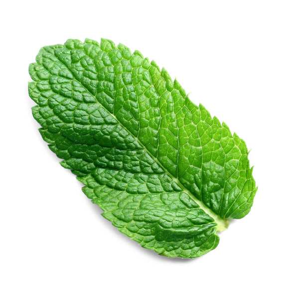 Menta verde fresca sobre fondo blanco - Foto, Imagen