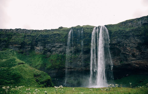 A beautiful shot of a small waterfall from a green cliff - perfect for background - 写真・画像