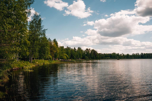 A beautiful view of a lake surrounded by green trees in a forest on a clear sunny day - Valokuva, kuva