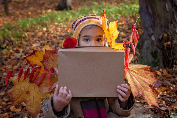 Fall season, hello autumn. Stylish 7 years old girl sitting on the stub in the forest and holding a box with golden leaves, place for text, cope space, family weekend, beautiful nature outside - Photo, Image