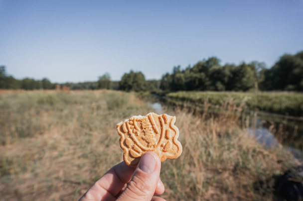 Mezzo biscotto in mano sullo sfondo del paesaggio, - Foto, immagini