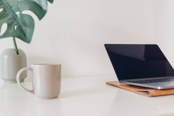 Minimal laptop workspace with plant decoration and coffee. - Φωτογραφία, εικόνα