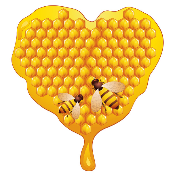 Honey - Διάνυσμα, εικόνα