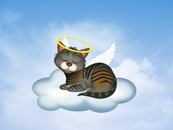dead kitten on cloud in paradise - Foto, afbeelding