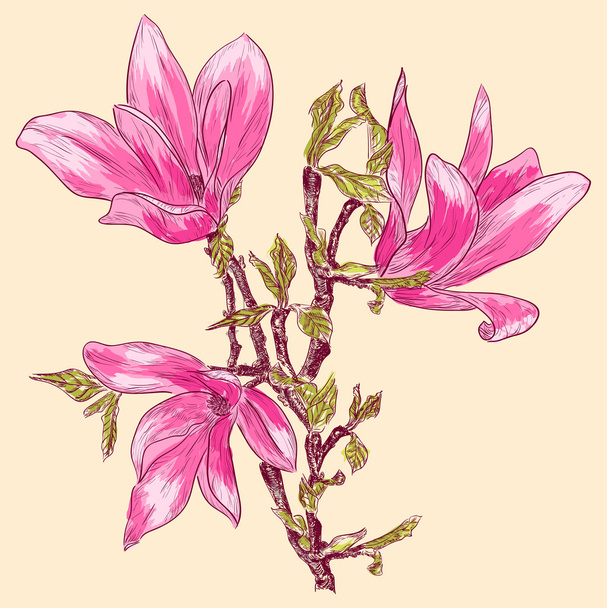 Magnolia branch - Διάνυσμα, εικόνα