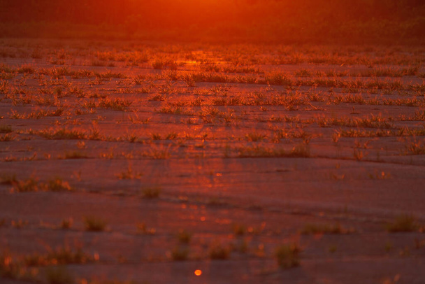 Soleil du matin orange vif réfléchissant la chaussée avec de l'herbe poussant de la chaussée - Photo, image