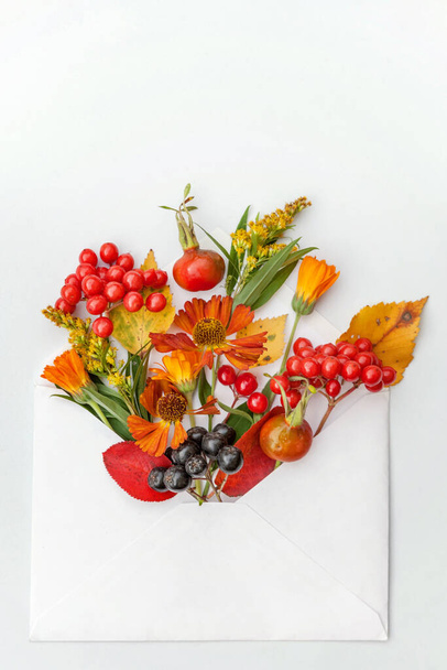 Autumn floral composition. Plants viburnum rowan berries dogrose fresh flowers colorful leaves in mail envelope on white background. Fall natural plants concept. Flat lay top view mockup - Foto, imagen