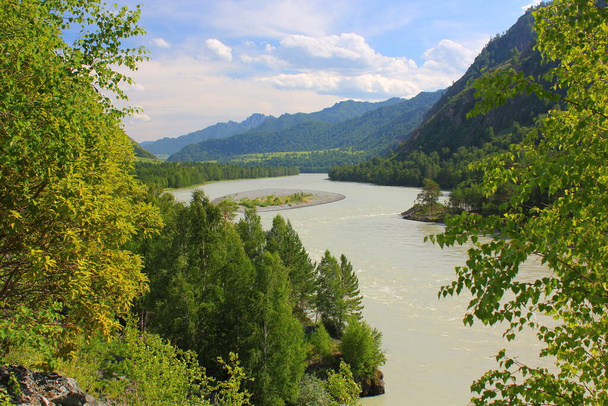 Katun river in mountain Altai in summer - Zdjęcie, obraz