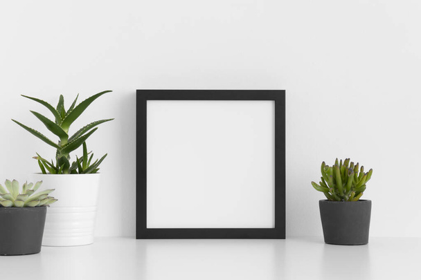 Marco cuadrado negro maqueta con varios tipos de plantas suculentas en una mesa blanca
. - Foto, Imagen