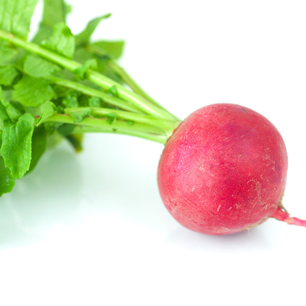 juicy red radishes with green leaves isolated on white - 写真・画像