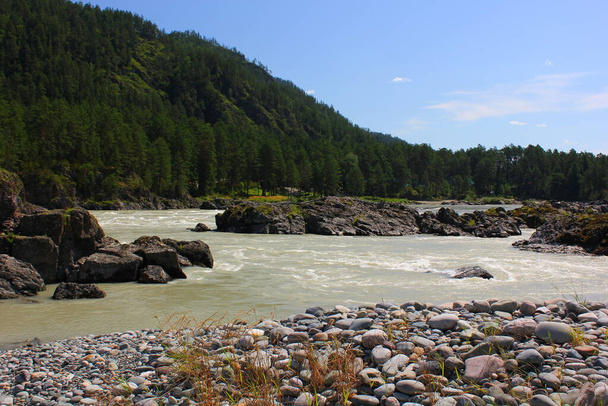 katun river with rocks in mountain altai - Zdjęcie, obraz