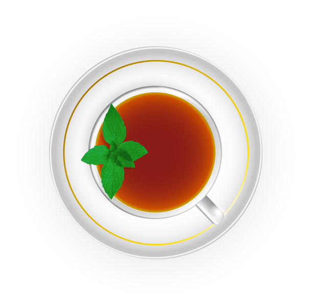 Cup of tea with mint - Vetor, Imagem