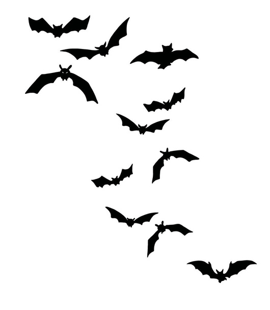 Sorprendente grupo de murciélagos negros aislados Halloween
  - Vector, imagen