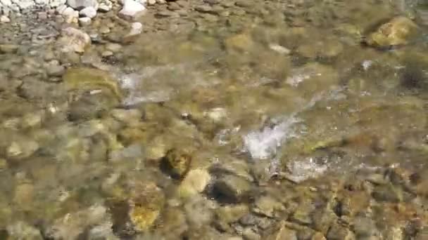 Een snelle stroming van de bergrivier. Schoon, koud, transparant water schittert in de zon. - Video