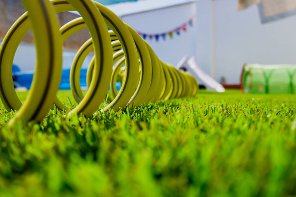 Green hose on the grass and compressed coiled. - Photo, Image