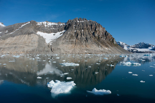 La scène arctique de la fonte des glaces et des roches nues montre l'impact du changement climatique. - Photo, image