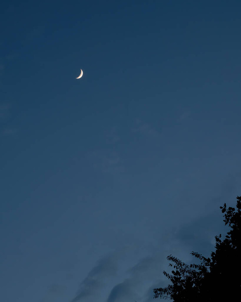 Voskující srpek měsíce vidět nízko na západě nad Severní Karolínou. - Fotografie, Obrázek