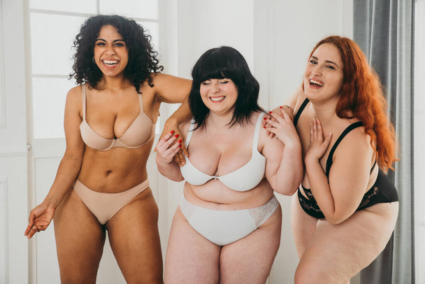 Body acceptance concept. Group of curvy girl posing in studio against society prejudice - Photo, image