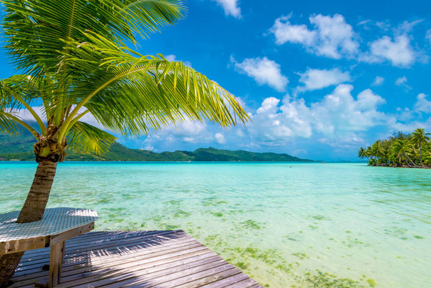 Picknickplaats onder palmboom van tropisch eiland met prachtig uitzicht over turquoise gekleurde lagune. - Foto, afbeelding