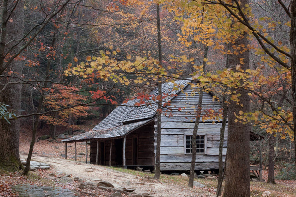 Stará srub v podzimním lese - Fotografie, Obrázek