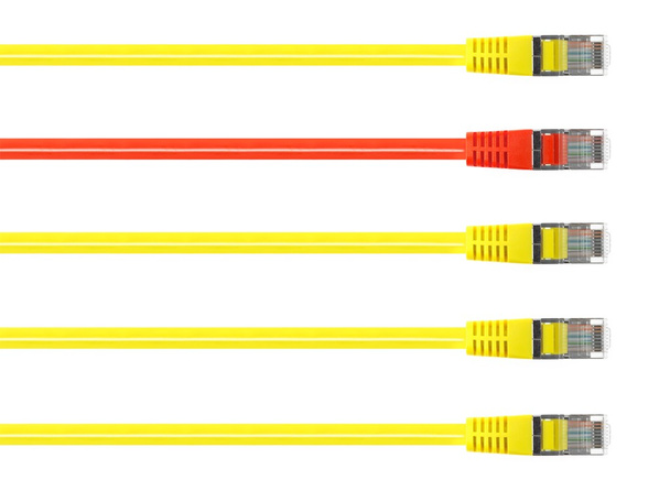 Cable Ethernet
 - Foto, imagen