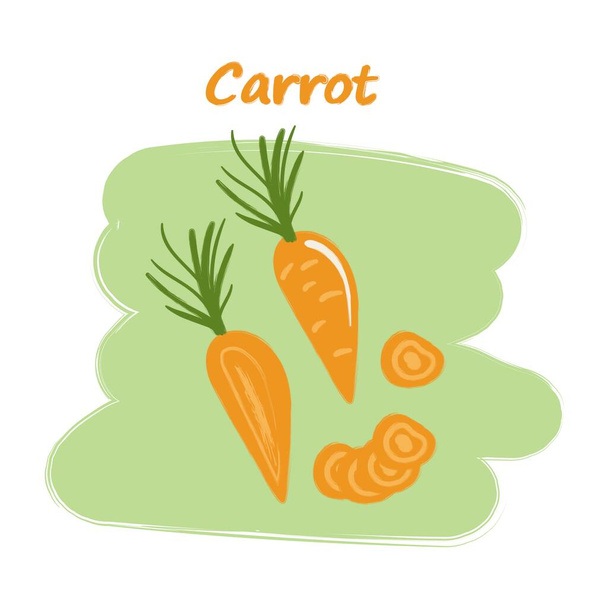 Sliced vegetables with titles, cute drawings, set of cut carrots - Vector, Image
