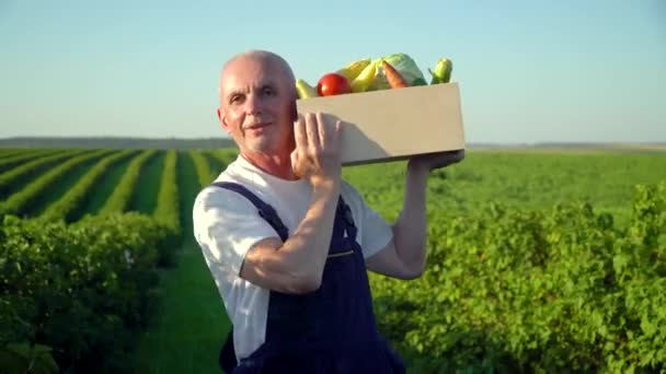 Happy senior farmer walking with a box of organic vegetables and looking at camera - Footage, Video