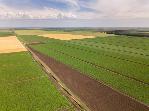 Aerial drone view of agricultural fields. - Φωτογραφία, εικόνα