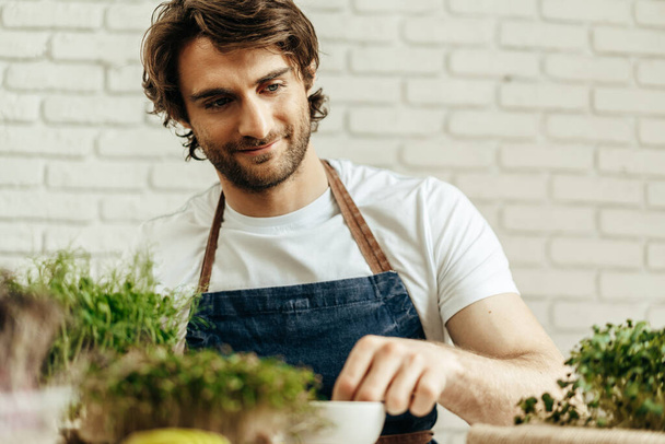 Attractive bearded man farmer taking care of sprouts of microgreens - Photo, image