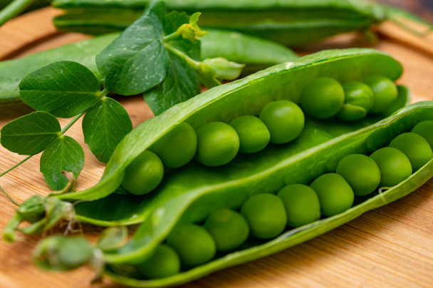 Nueva cosecha de legumbres frescas de guisantes verdes maduros
 - Foto, imagen