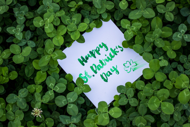 Zielona koniczyna granica wakacje, St Patrick dzień dekoracji tle z kartą Happy St. Patrick 's Day - Zdjęcie, obraz
