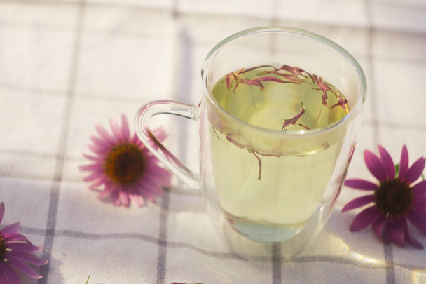 Tazza di tè con petali di echinacea. Erboristeria. Ingredienti naturali. Terapia di rilassamento  - Foto, immagini