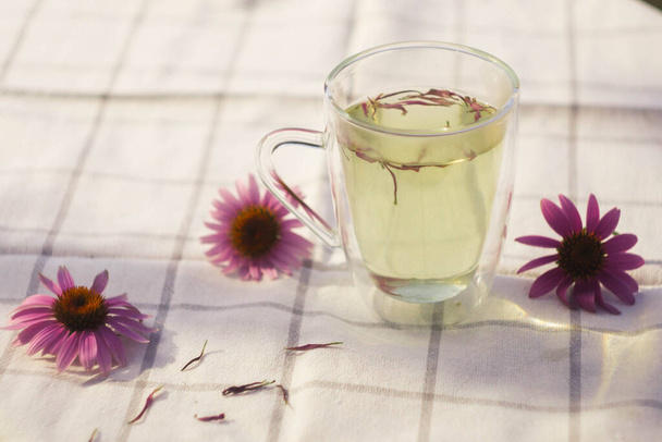 Tasse Tee mit Echinacea-Blütenblättern. Kräutermedizin. Natürliche Zutaten. Entspannungstherapie  - Foto, Bild