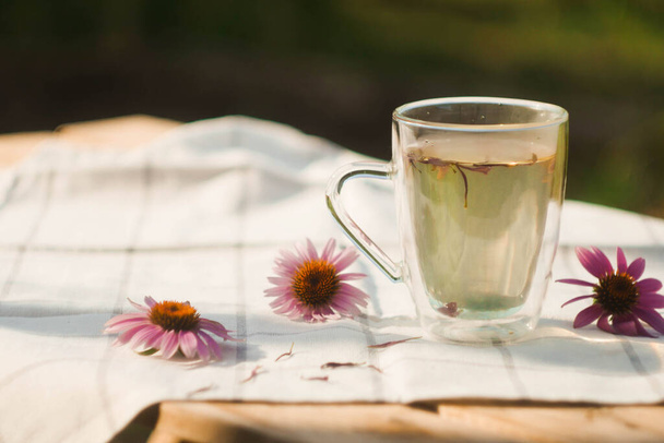 エキナセアの花びらとお茶のカップ。漢方薬。天然成分。リラクゼーション療法  - 写真・画像