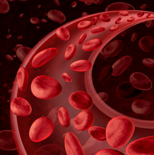 Blood Cells Circulation - Photo, image