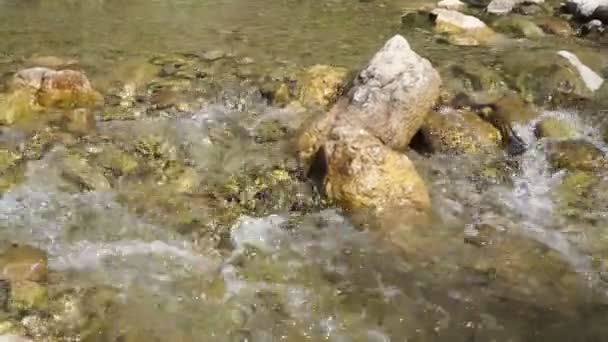 A hegyi folyó gyors áramlata. Tiszta, hideg, átlátszó víz szikrázik a napon. - Felvétel, videó
