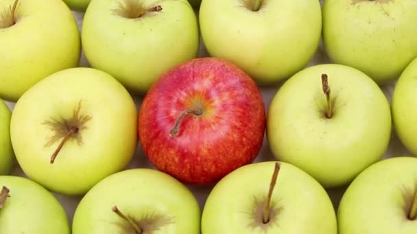 Seja diferente - maçãs verdes com uma maçã vermelha
 - Filmagem, Vídeo