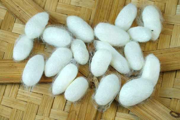silkworm cocoon on bamboo container                                - Photo, Image